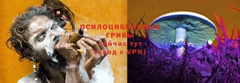 Псилоцибиновые грибы мицелий  Абдулино 